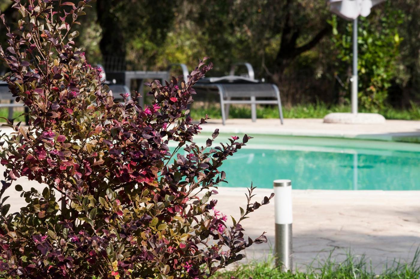 Agriturismo Tenuta Roccaccia بيتيجليانو المظهر الخارجي الصورة