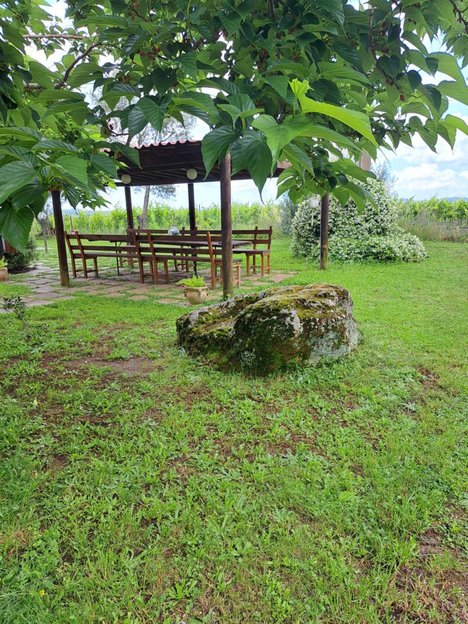 Agriturismo Tenuta Roccaccia بيتيجليانو المظهر الخارجي الصورة