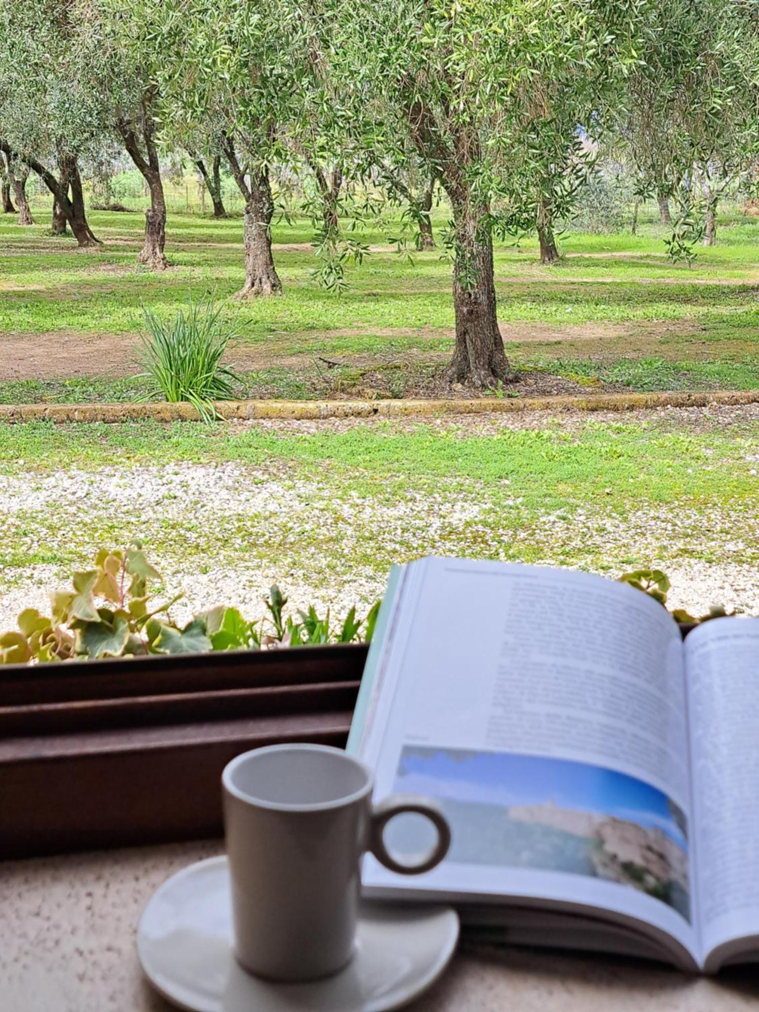 Agriturismo Tenuta Roccaccia بيتيجليانو المظهر الخارجي الصورة